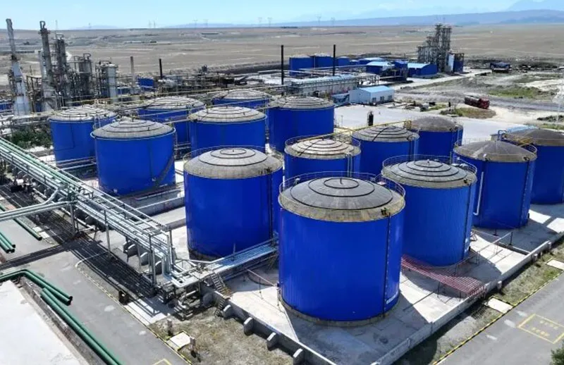 Производственная площадка компании ООО Синьцзян Хунсюй Хаожуй Промышленность